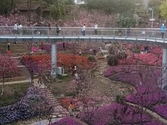 -狐尾山公园