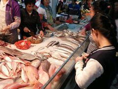 -鸿港海鲜批发市场