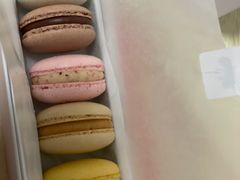 -BLACKSWAN黑天鹅(环球店)