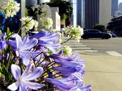 -华特·迪士尼音乐厅