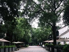 -西溪国家湿地公园