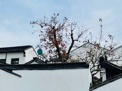 -北寺塔
