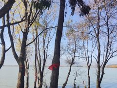 -大理洱海