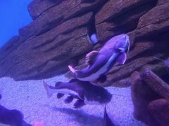 -蓬莱欧乐堡海洋极地世界