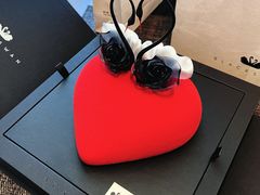 -BLACKSWAN黑天鹅(环球店)