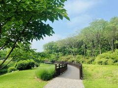-羊山湖公园