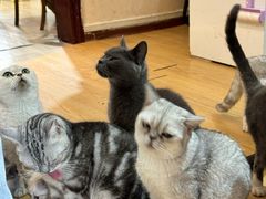 -觅时光手作·香薰·拼豆豆·陶艺DIY