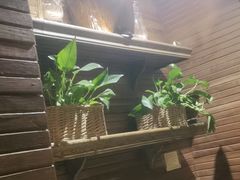 -前海沿·青岛菜(大拇指广场石老人店)