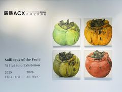 -辰熙ACX星海艺术中心