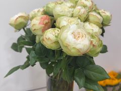 -Flower in(密渡桥店)