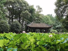 -宝光寺