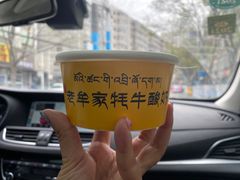 -老牟家牦牛酸奶
