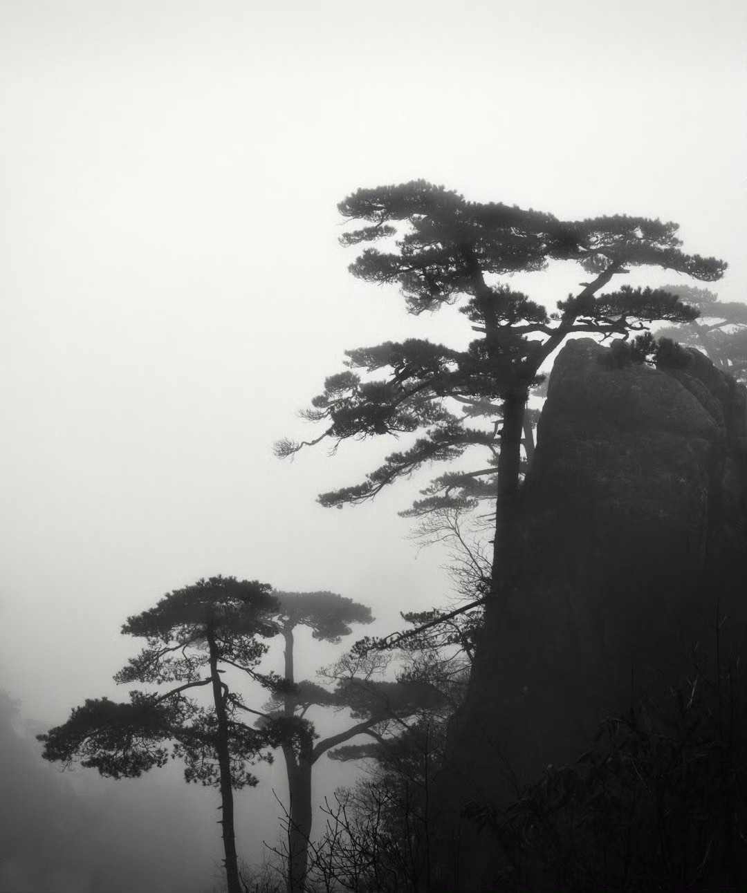 水墨黄山图片