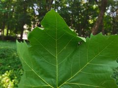 -上海K11购物艺术中心