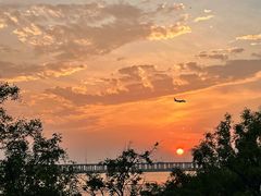 -宝安西湾红树林湿地公园