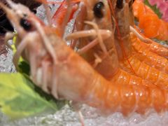 -上井料理黑金店(IFS国金中心店)