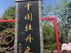 -曹州牡丹园