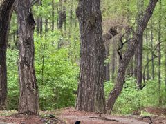 -长春市南湖公园