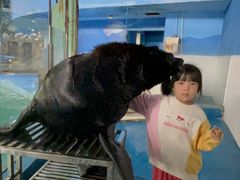 -苏州海洋馆