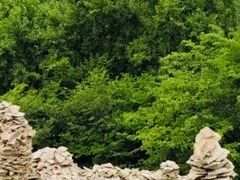 -帽儿山国家森林公园