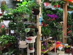 -三旗百汇商品城