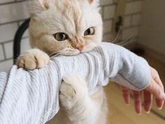 -俊江南时尚创意餐厅