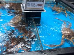 水产区-盒马鲜生(王府广场店)