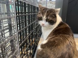 -塞巴斯汀SEBASTIAN专业美发店