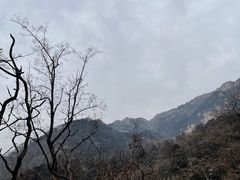 -泰山风景名胜区