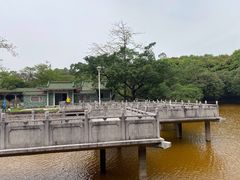 -大雁山风景区