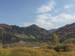 -塞罕坝国家级自然保护区