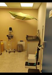 -杭州贝瑞斯美华妇儿医院·早孕·产检·儿科