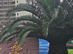 -西南交通大学(九里校区)