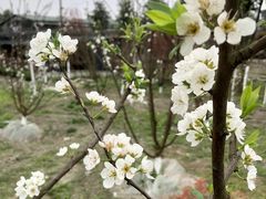 -洪湖家庭农场·团建·露营·会议