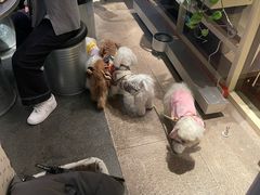 -양평식당·杨平食堂(华贸店)