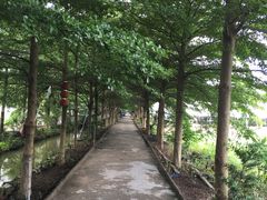 -新塘水果乐园(东洲大道店)