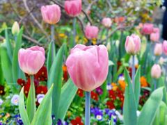 -浙江西子宾馆·瑶园咖啡厅