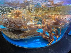 -徐记海鲜(大雁塔|金都店)