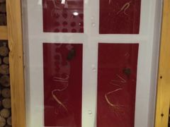 -菲拉拉漫温泉(东环路店)