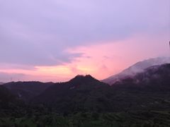 -杨家堂村