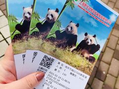 -上海野生动物园