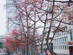 -烈士陵园(地铁站)