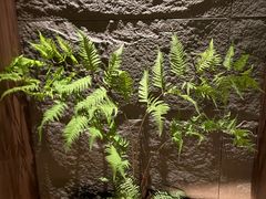 -食悦江南·淮扬菜·烤鸭(亚运村·惠新店)