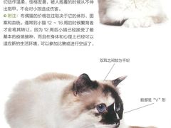 -心语宠物医院·急重症转诊中心·瑞辰华诺(南青路店)