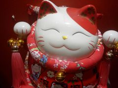 -禧鳳記·猪肚鸡火锅(玖洲道店)