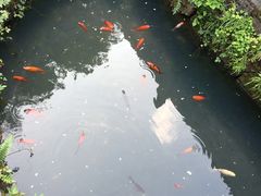 -九华山风景区月身宝殿