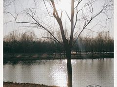 -东郊湿地公园