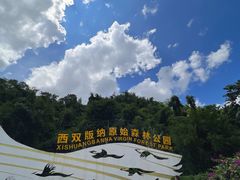 -西双版纳原始森林公园