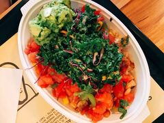 -油梨树 AVOCADO TREE(亮马桥店)