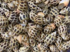 -泰谷酒店·太古码头闽菜自助餐厅